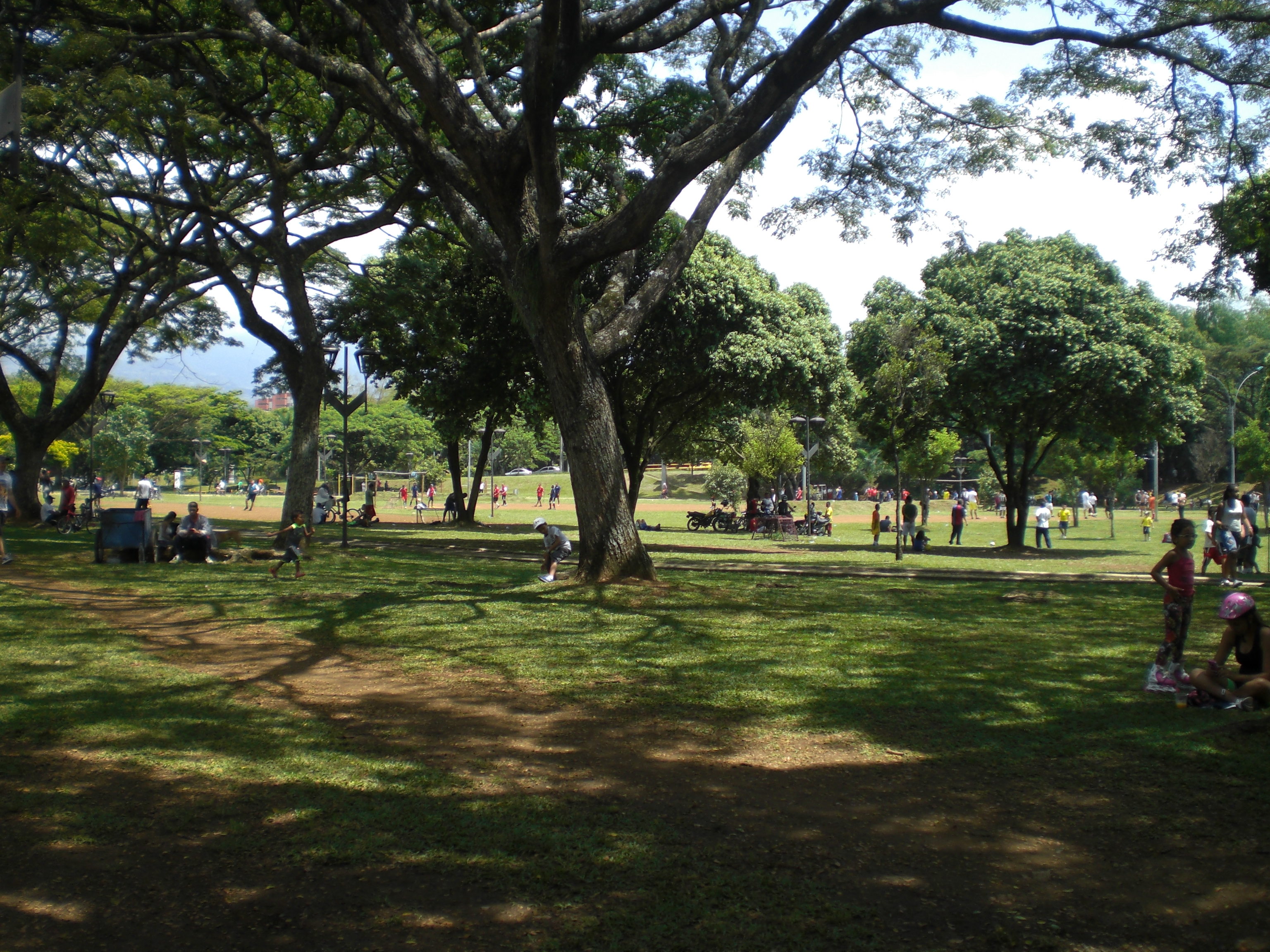 parque del ingenio