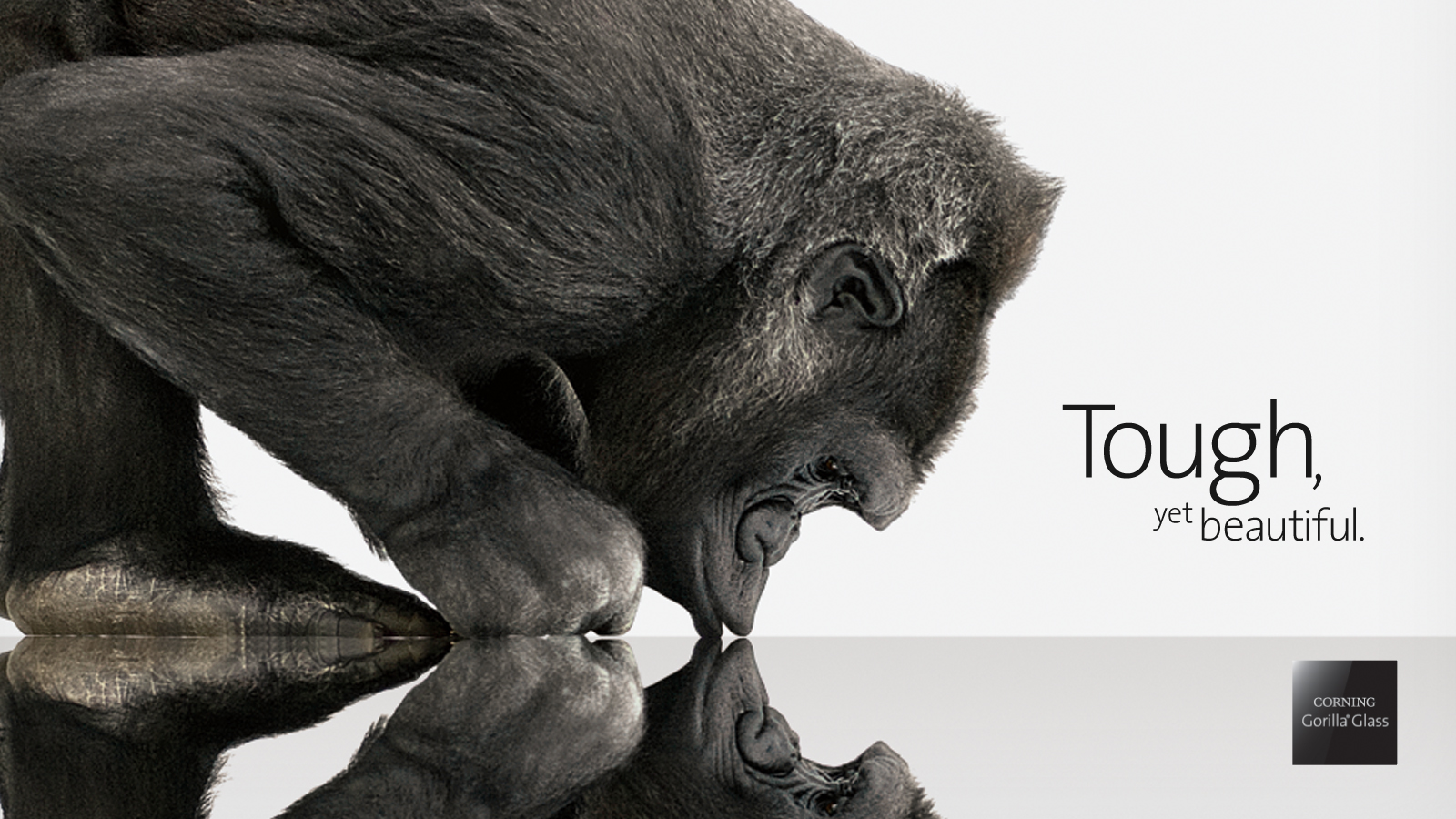 Gorilla Glass 4