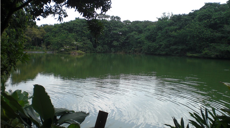 Ecoparque lago de las Garzas
