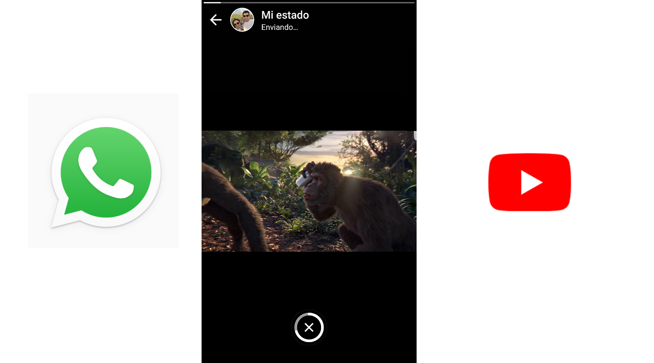 publicar tus videos favoritos de YouTube en WhatsApp