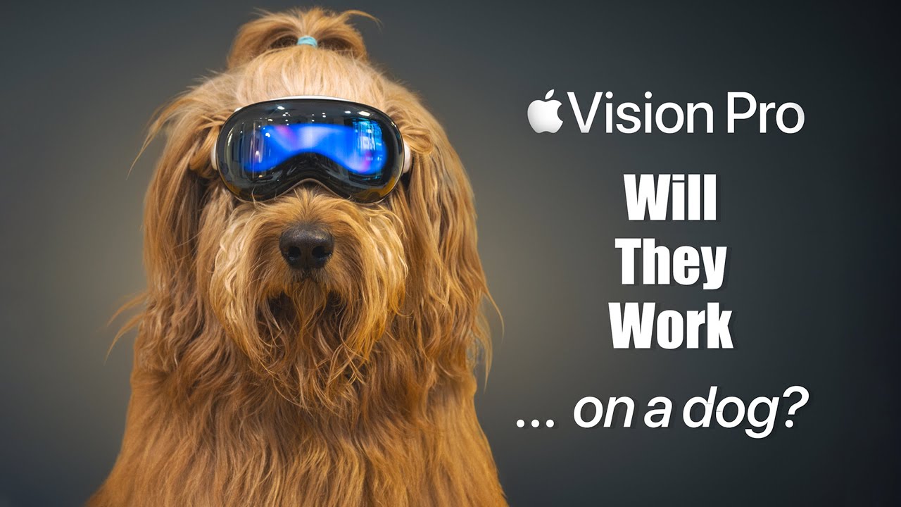 perro Apple Vision Pro